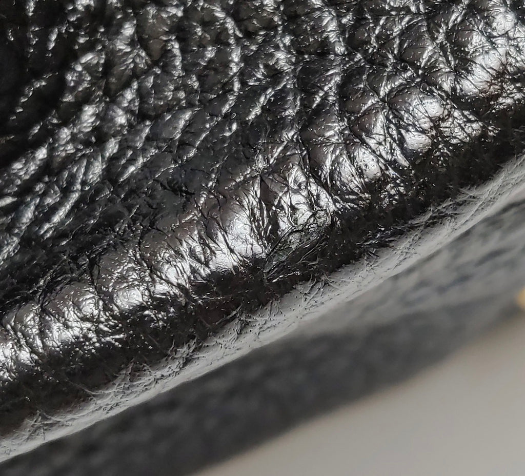 FENDI Chameleon Top Handle Bag