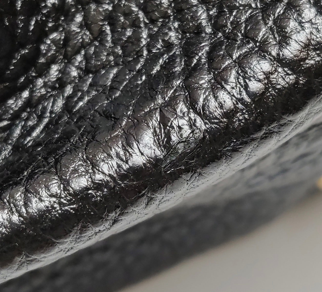 FENDI Chameleon Top Handle Bag