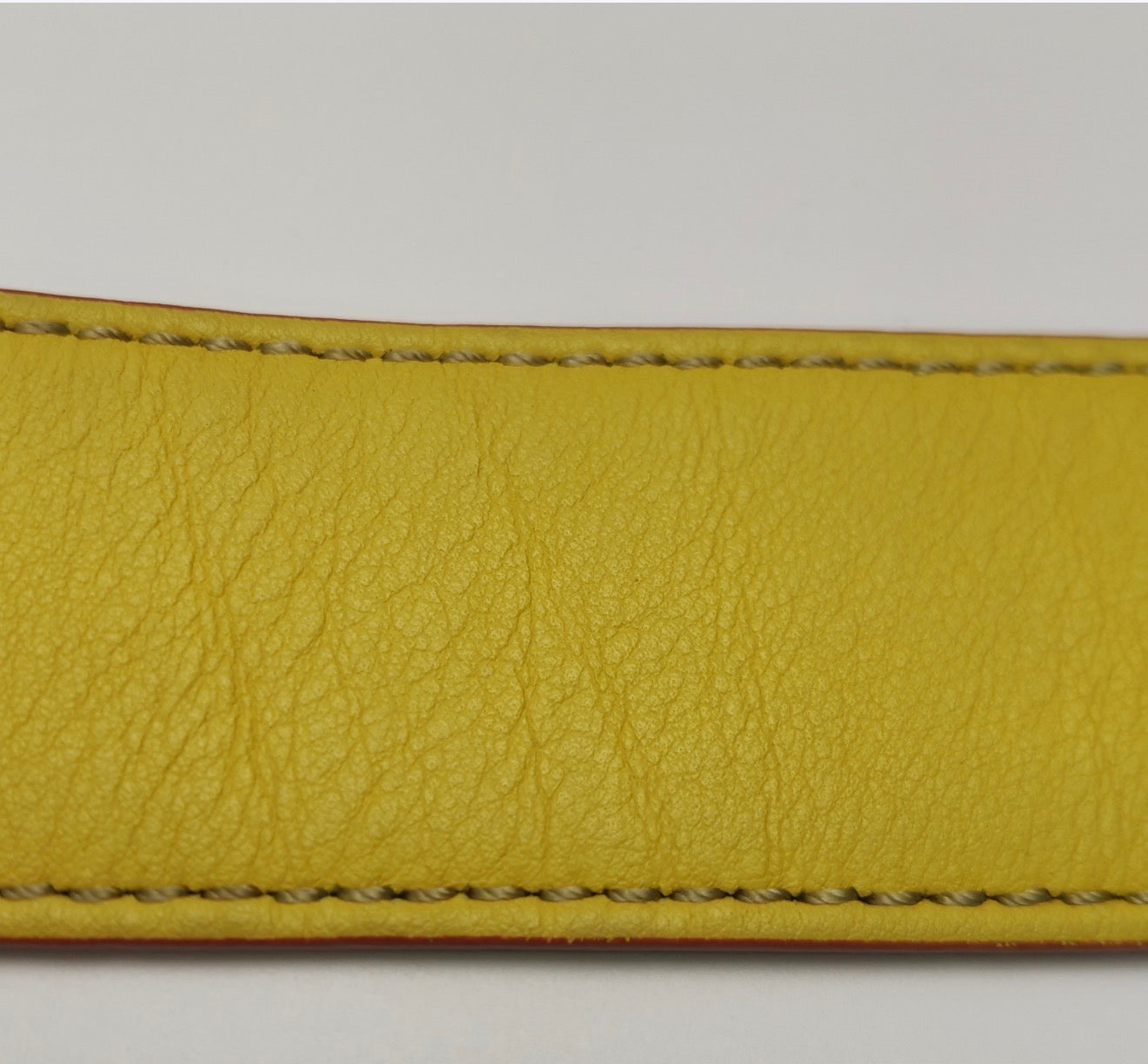 FENDI "Strap You" Shoulder Strap